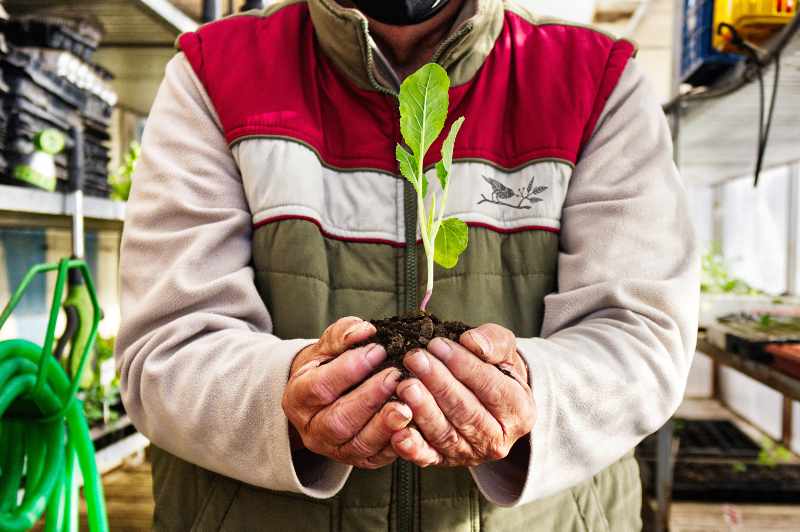 Claudio holding a plant grown in the balsa de los mirlos.